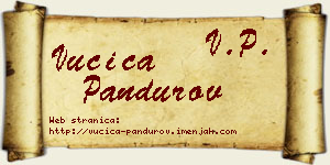 Vučica Pandurov vizit kartica